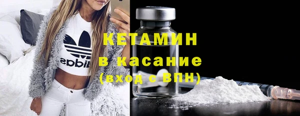 индика Абаза