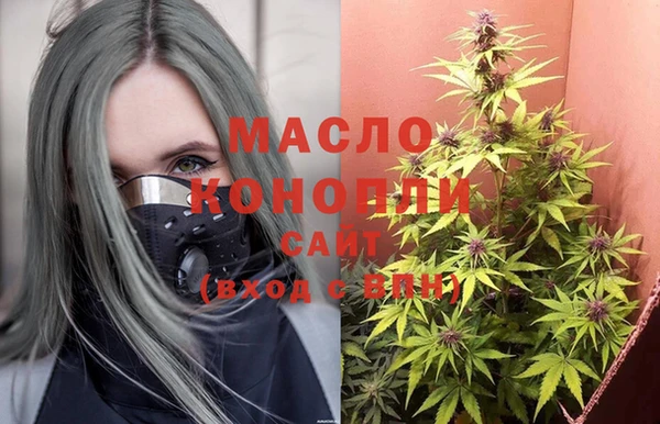 индика Абаза