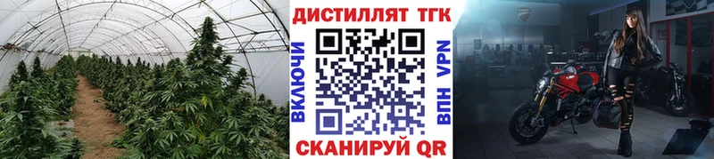 магазин    Шимановск  ТГК вейп 