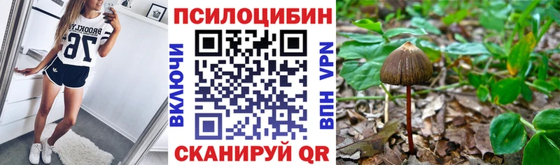 Псилоцибиновые грибы мицелий  Шимановск 